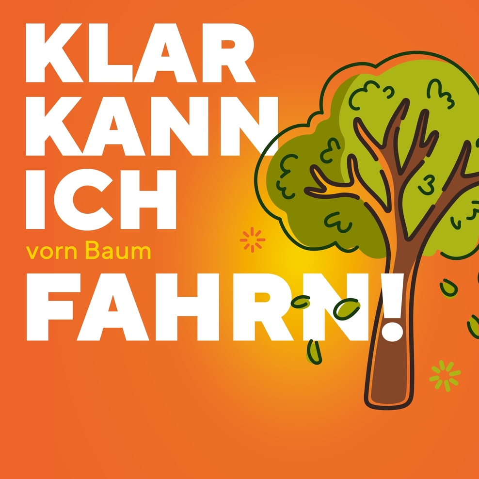 NDS_Verkehrstuechtigkeit_Plakat